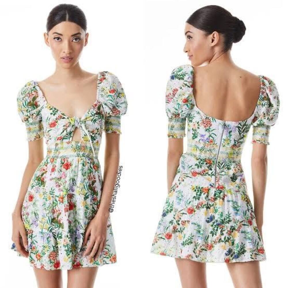 Alice + Olivia Kristie Floral Puff Sleeve Mini Dress Size 4